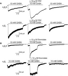 High-level production and purification in a functional state of an ...